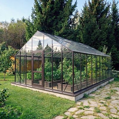 БИОНИКА Гранд