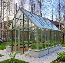 АСТЕРА Макси