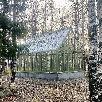 АСТЕРА Макси