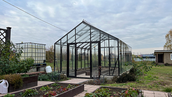 БИОНИКА Оптима