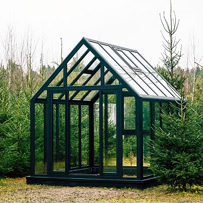 АСТЕРА Стандарт